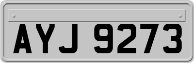 AYJ9273