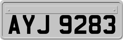 AYJ9283