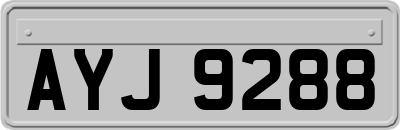 AYJ9288