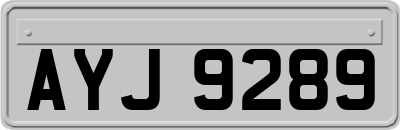 AYJ9289