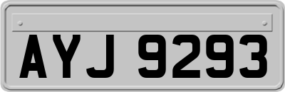 AYJ9293