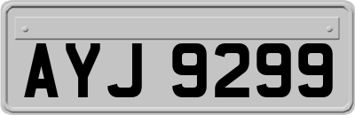 AYJ9299