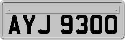 AYJ9300
