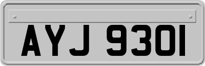 AYJ9301
