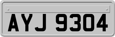 AYJ9304