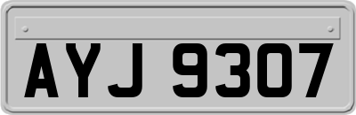 AYJ9307