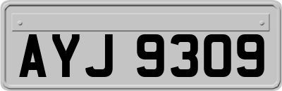 AYJ9309