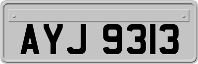AYJ9313