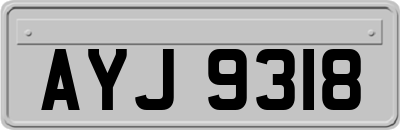 AYJ9318