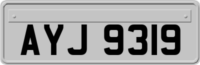 AYJ9319