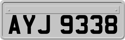 AYJ9338
