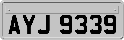 AYJ9339