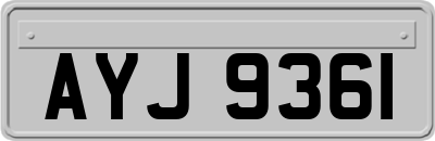 AYJ9361