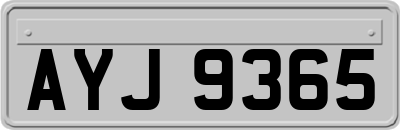 AYJ9365