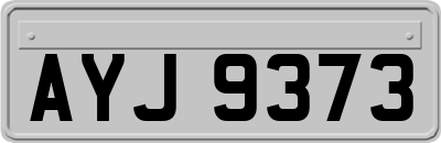AYJ9373