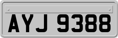 AYJ9388