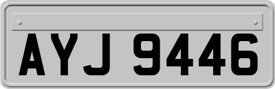 AYJ9446