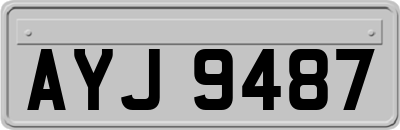 AYJ9487