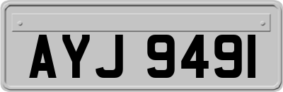AYJ9491