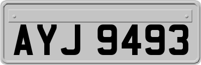 AYJ9493