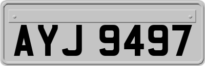 AYJ9497