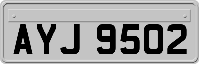 AYJ9502