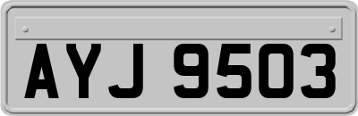 AYJ9503