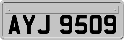 AYJ9509