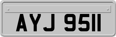AYJ9511