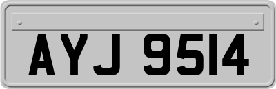 AYJ9514