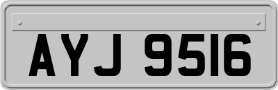 AYJ9516