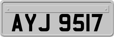 AYJ9517