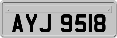 AYJ9518