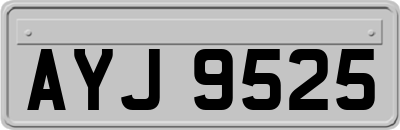AYJ9525