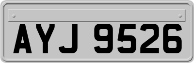 AYJ9526