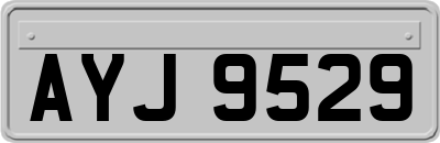 AYJ9529
