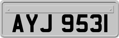 AYJ9531
