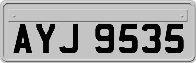 AYJ9535