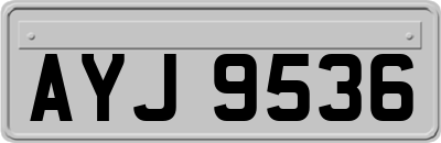 AYJ9536