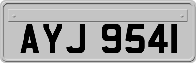 AYJ9541