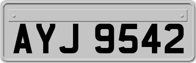 AYJ9542