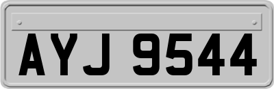 AYJ9544
