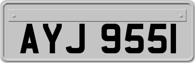 AYJ9551