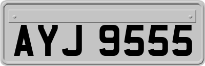 AYJ9555