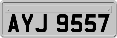 AYJ9557