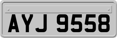AYJ9558