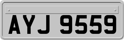 AYJ9559