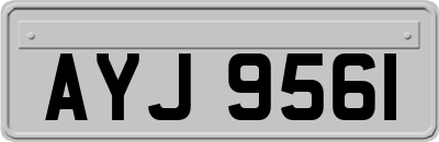 AYJ9561