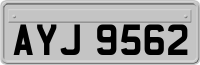 AYJ9562