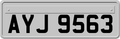 AYJ9563